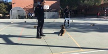 La Unidad Canina de la Policia Municipal de Las Rozas visita el cole_CEIP FDLR_Las Rozas_2017  1